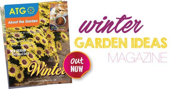 Winter Garden Ideas - Sungrown Nursery Plant Toowoomba