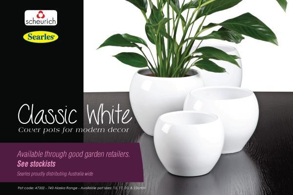 Classic White Cover Pots - Sungrown Nursery gardening toowoomba