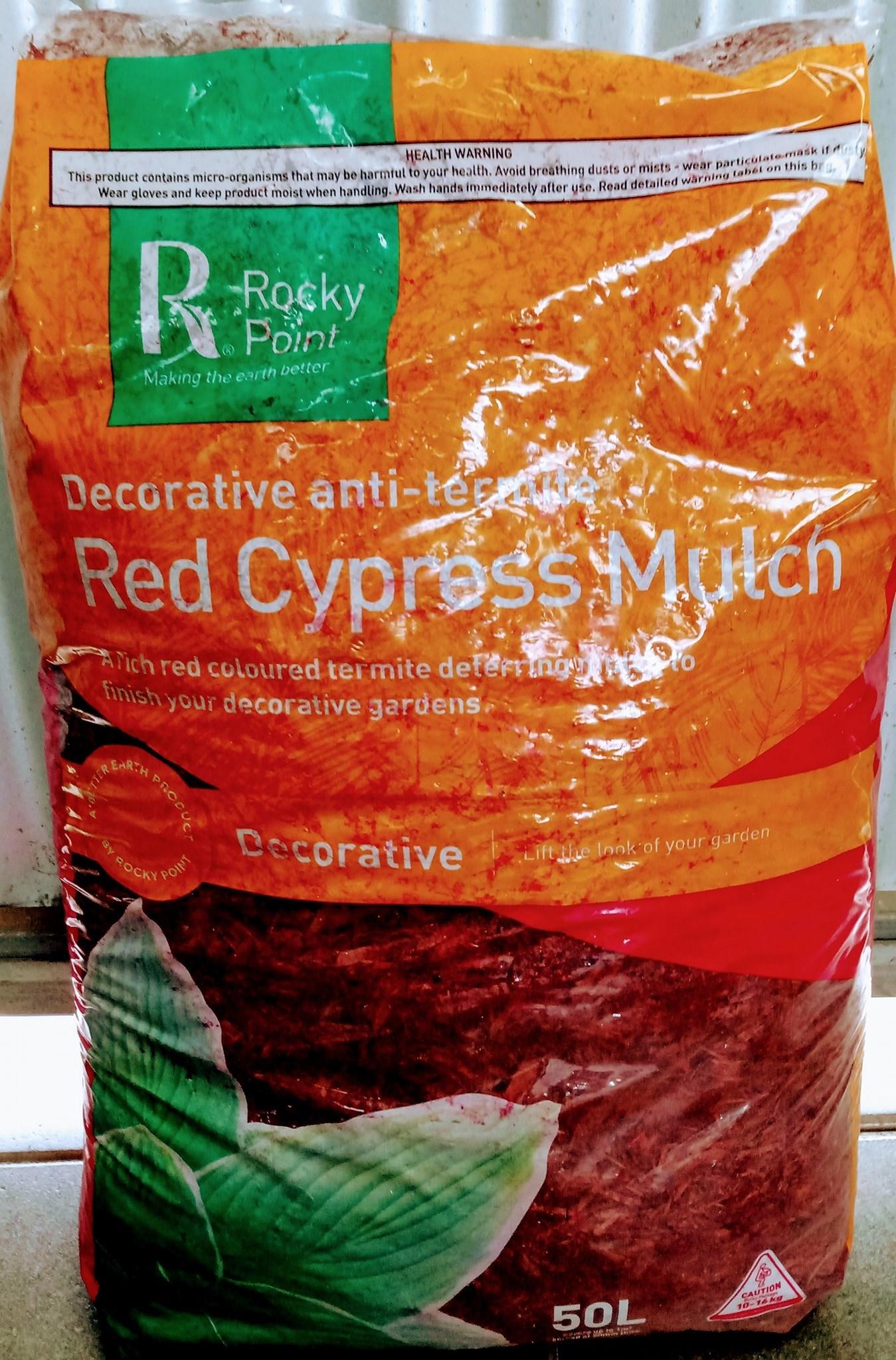 Sungrown Nursery Indoor and Succulent plants 01