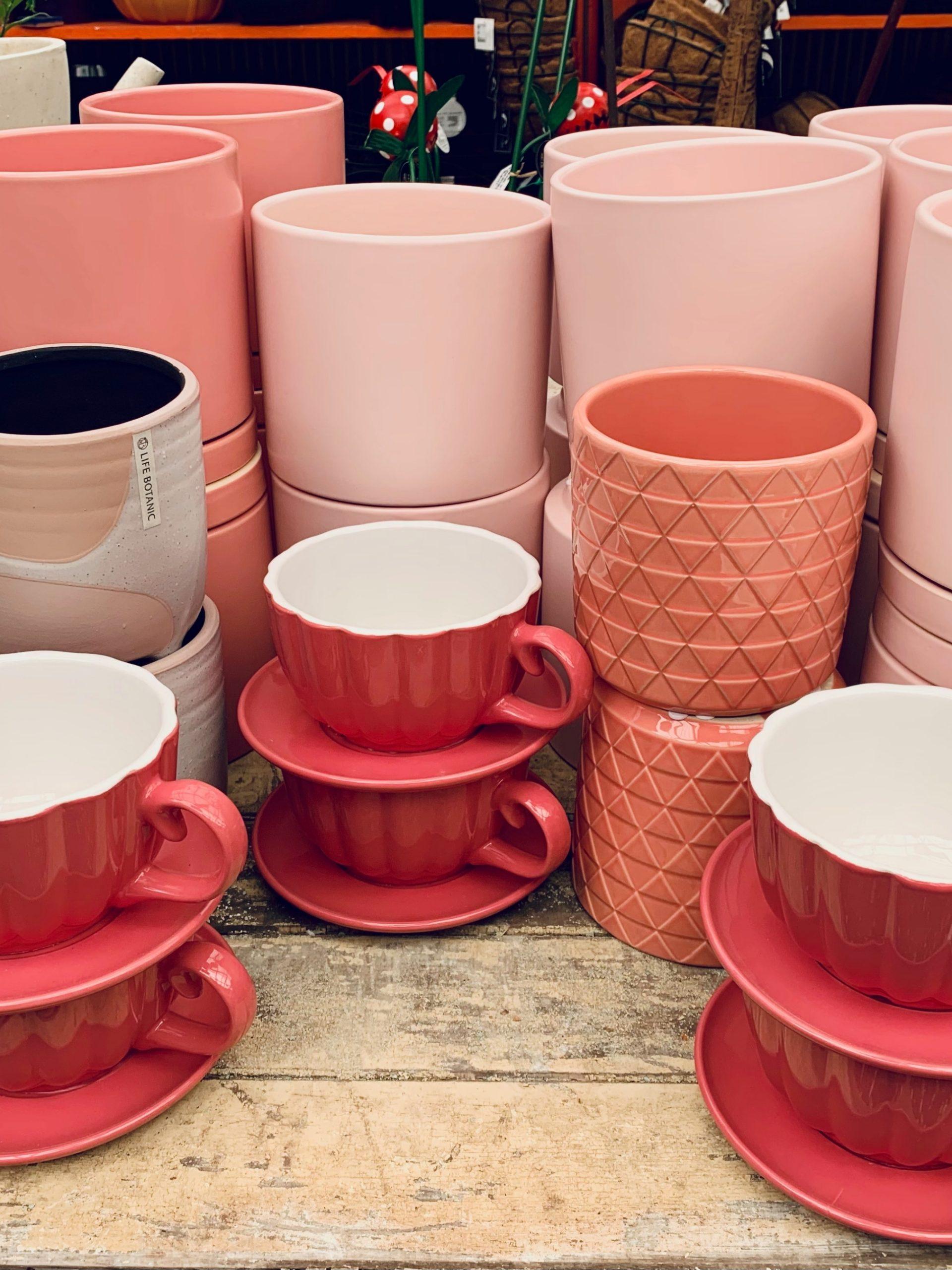 Buy Seedling and Herbs for Your Vegetable Garden Toowoomba 03