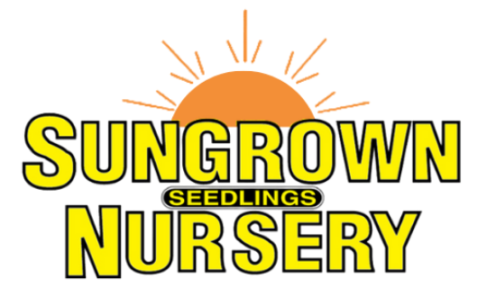 Sungrown Nursery Garden Centre Toowoomba