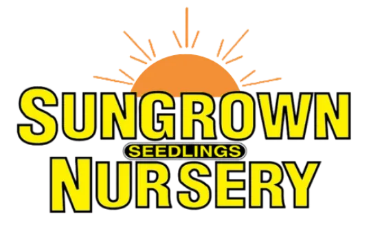 sungrown nursery optimised logo