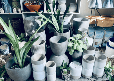 our-gallery_-pic-8-400x284